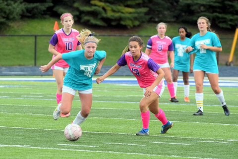 Trenton Michigan Soccer Match